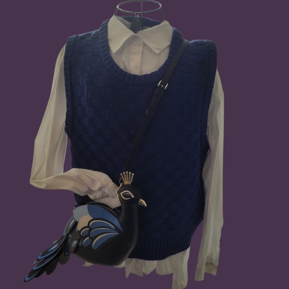 Urban Outfitters Bdg M Blue Sweater Vest